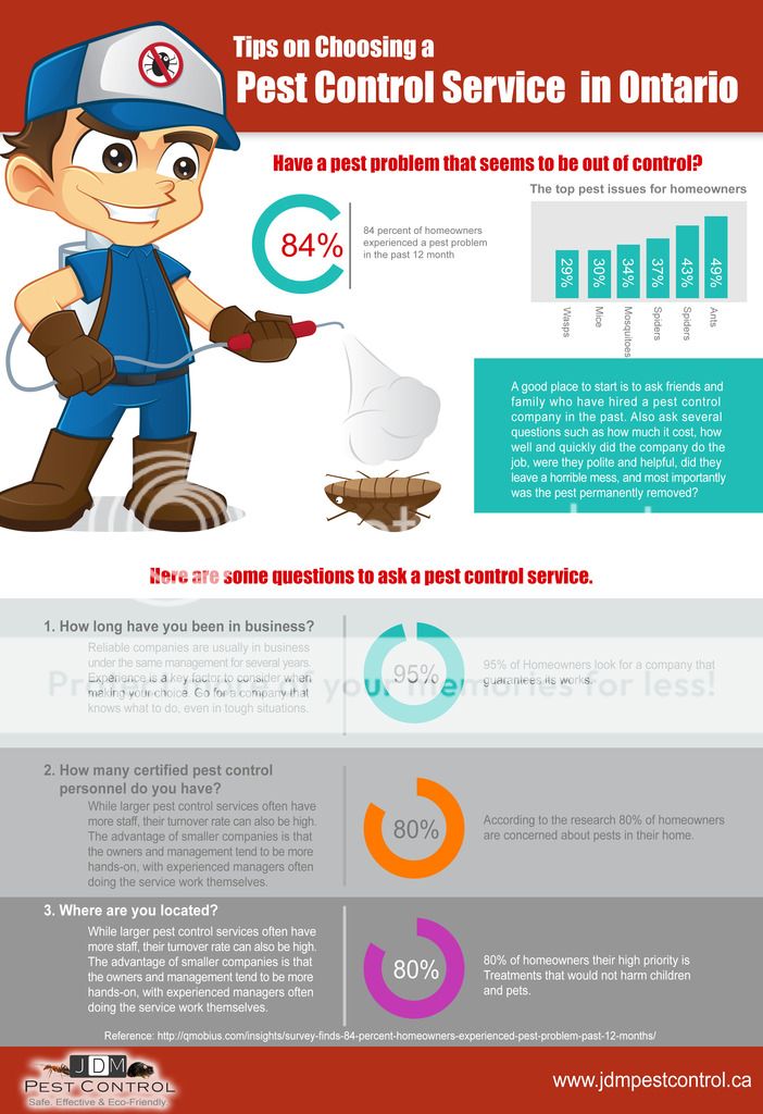 Tips on Choosing a Pest Control Service in Ontario JDM Pest Control